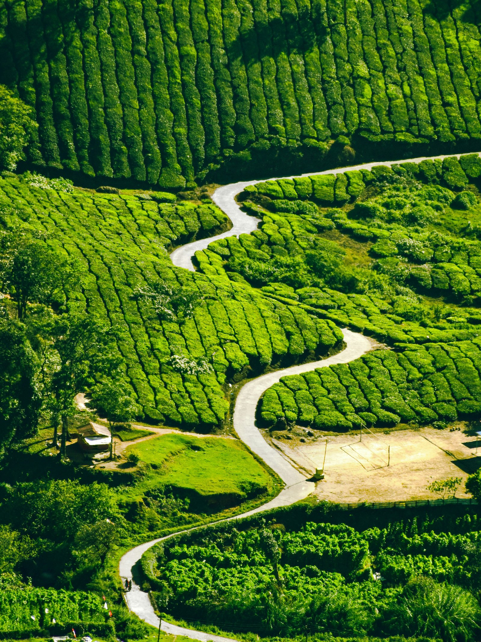 Coonoor
